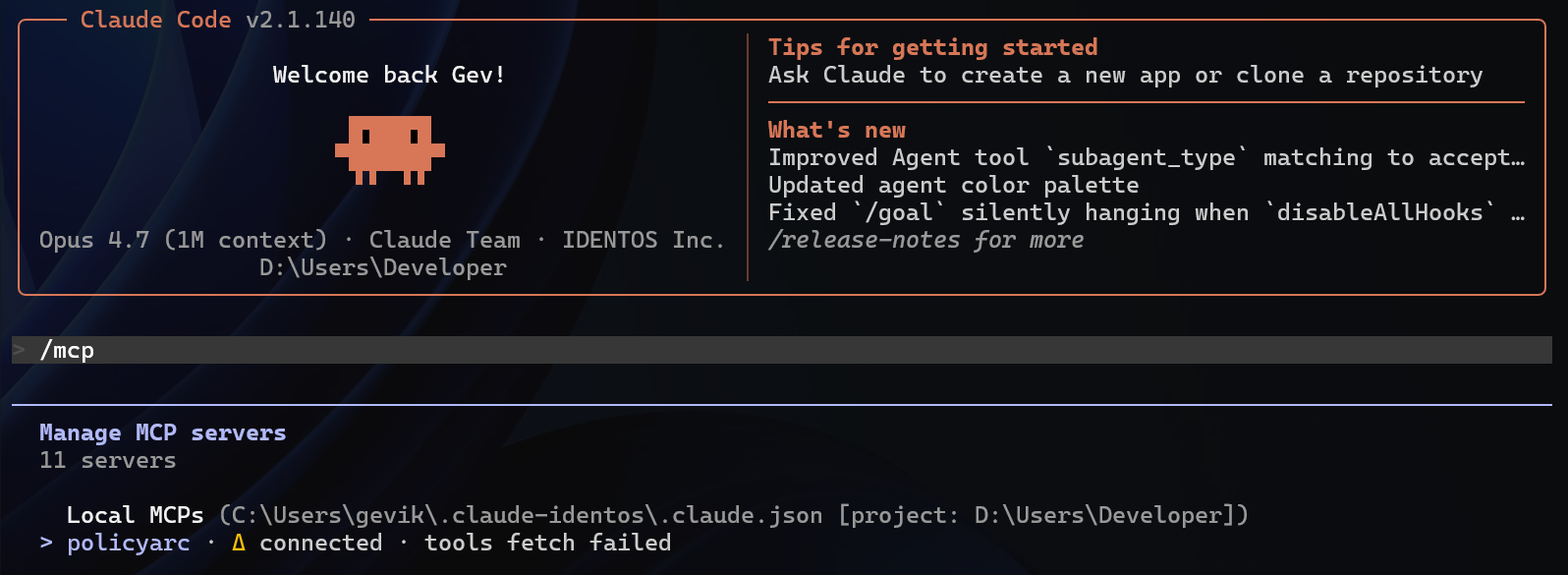/mcp output