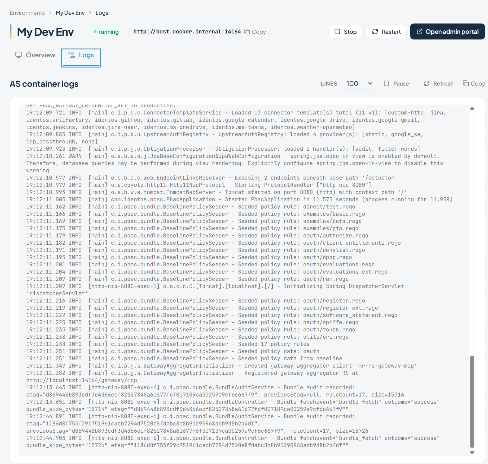 Runtime logs